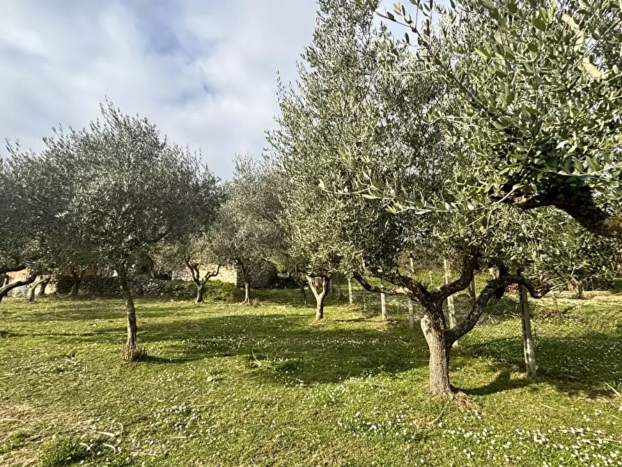 Immagine 8 di Rustico / casale in vendita  in Via Casale Basso, snc a Alatri