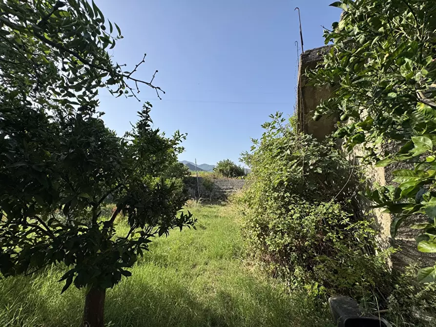 Immagine 19 di Terreno agricolo in vendita  in Strada comunale, snc a Rometta
