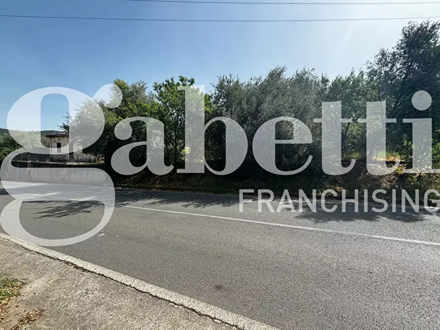 Immagine 2 di Terreno residenziale in vendita  in Via S.S 293, . a Nuxis