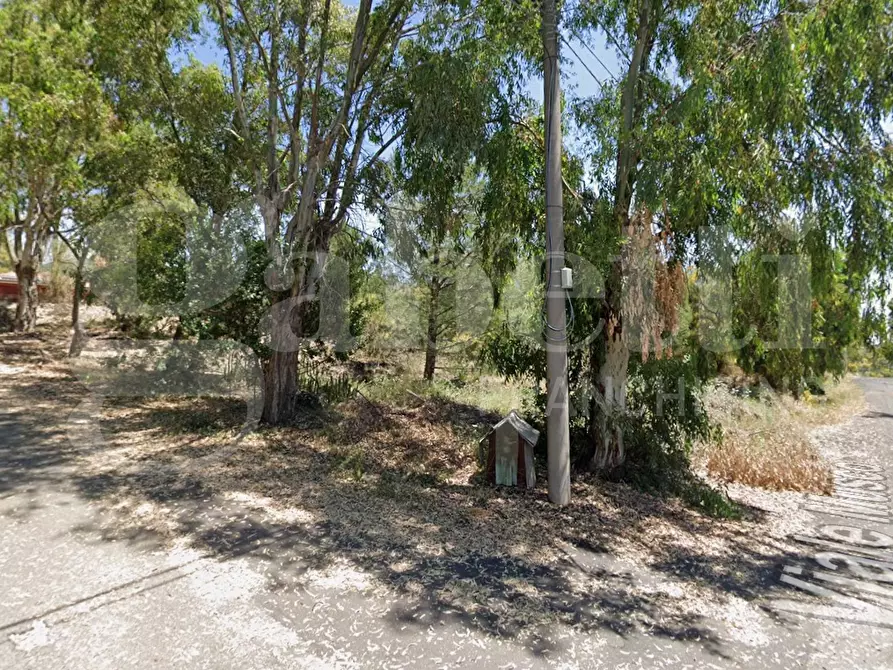 Immagine 5 di Terreno agricolo in vendita  in Via Balestrieri/ Viale Musco, 40 a Belpasso