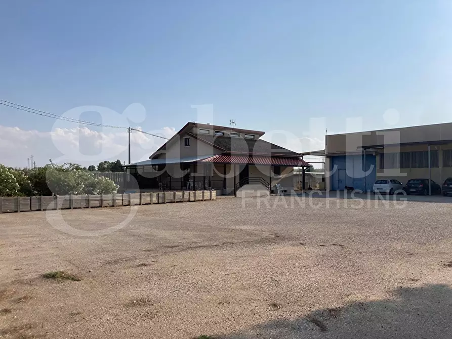Immagine 2 di Palazzo in vendita  in Strada Statale 16 a San Severo