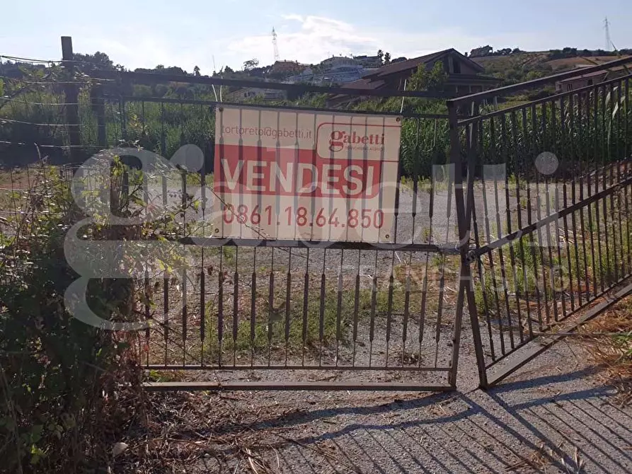 Immagine 3 di Terreno residenziale in vendita  in Via Mauro Pagano, snc a Colonnella