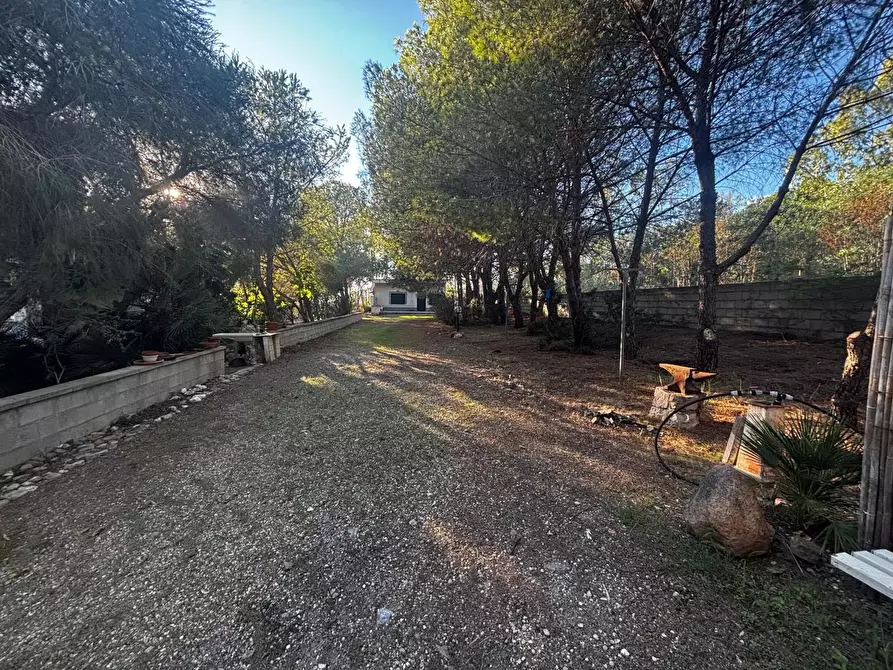 Immagine 3 di Casa trifamiliare in vendita  in LocalitÃ  Perdu Sarigu, snc a Teulada