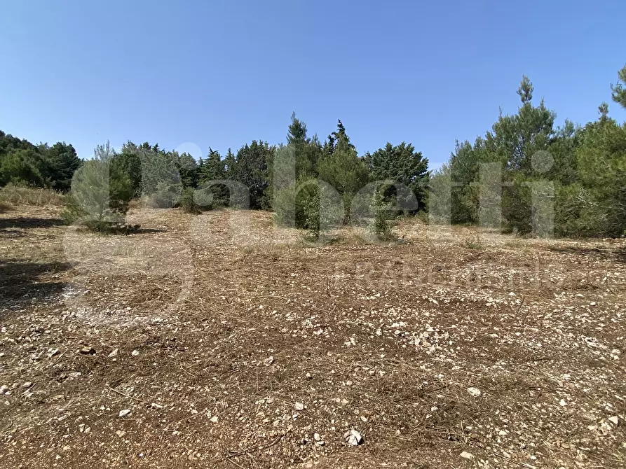 Immagine 30 di Villa in vendita  in Via S.P. 18, 76 a Cassano Delle Murge