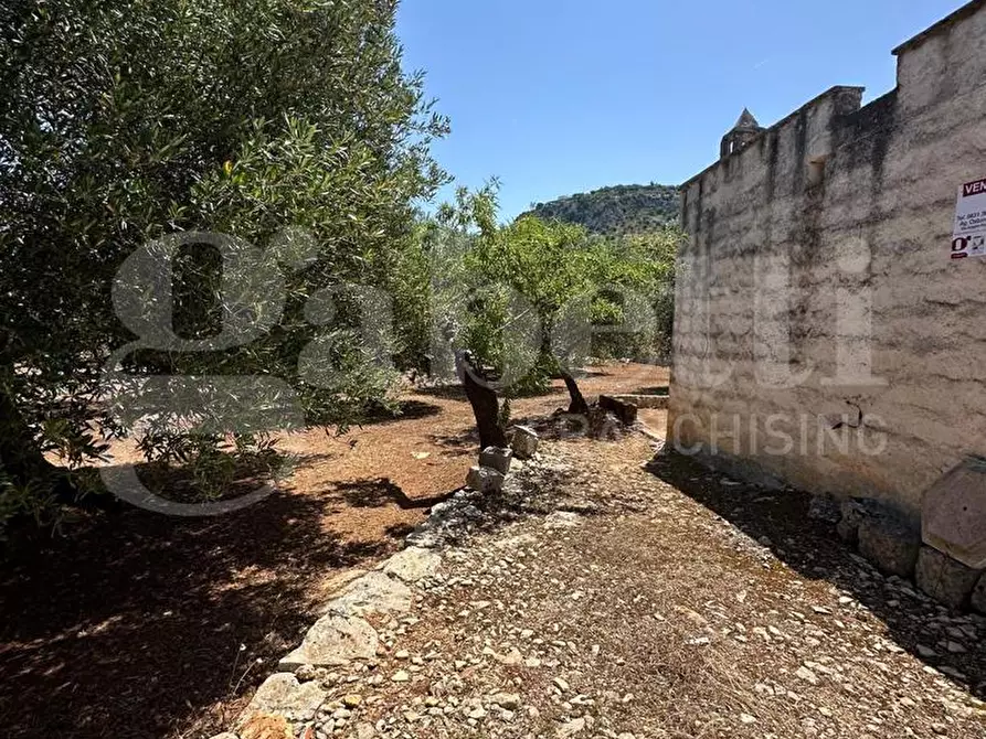 Immagine 2 di Terreno agricolo in vendita  in Contrada Morrone a Ostuni