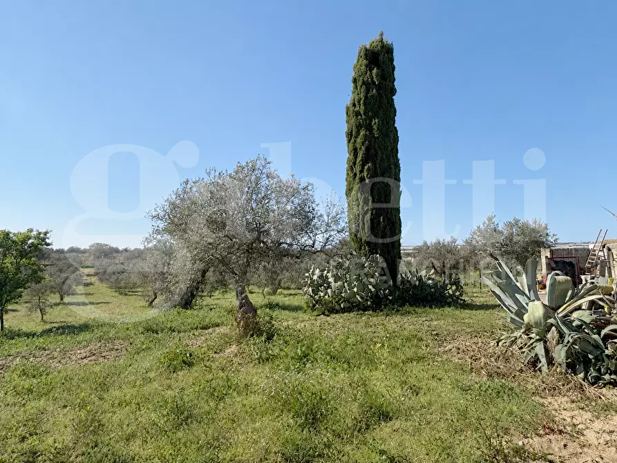 Immagine 21 di Rustico / casale in vendita  in Contrada Bortolone, 55 a Chiaramonte Gulfi
