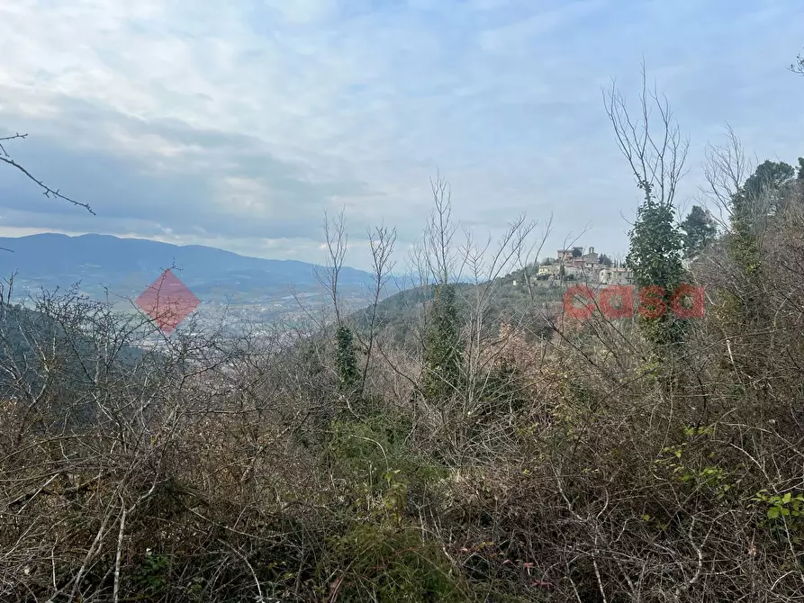 Immagine 17 di Terreno agricolo in vendita  in LocalitÃ  Rubbiano a Spoleto