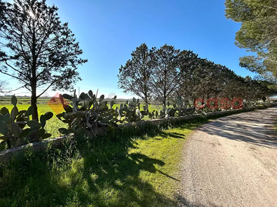 Immagine 12 di Terreno residenziale in vendita  in Via Prov.le Poggiardo-Spongano a Poggiardo