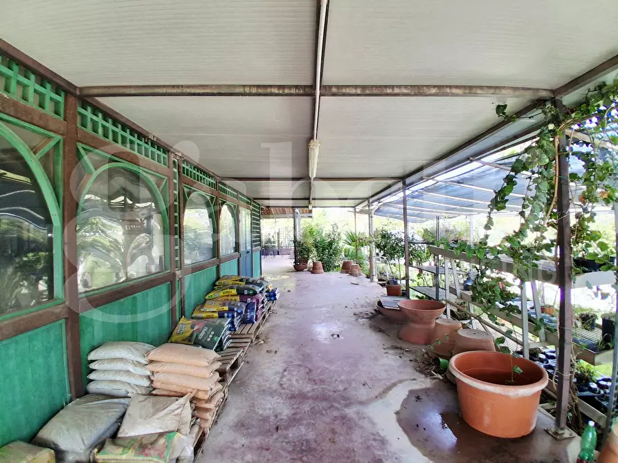 Immagine 23 di Terreno agricolo in vendita  in Contrada gaddimeli, snc a Ragusa