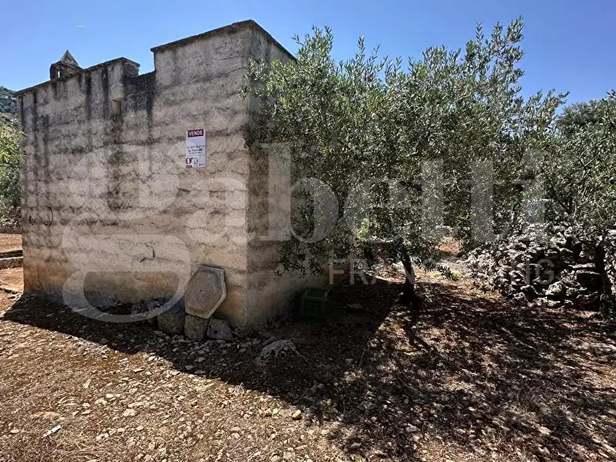 Immagine 5 di Terreno agricolo in vendita  in Contrada Morrone a Ostuni