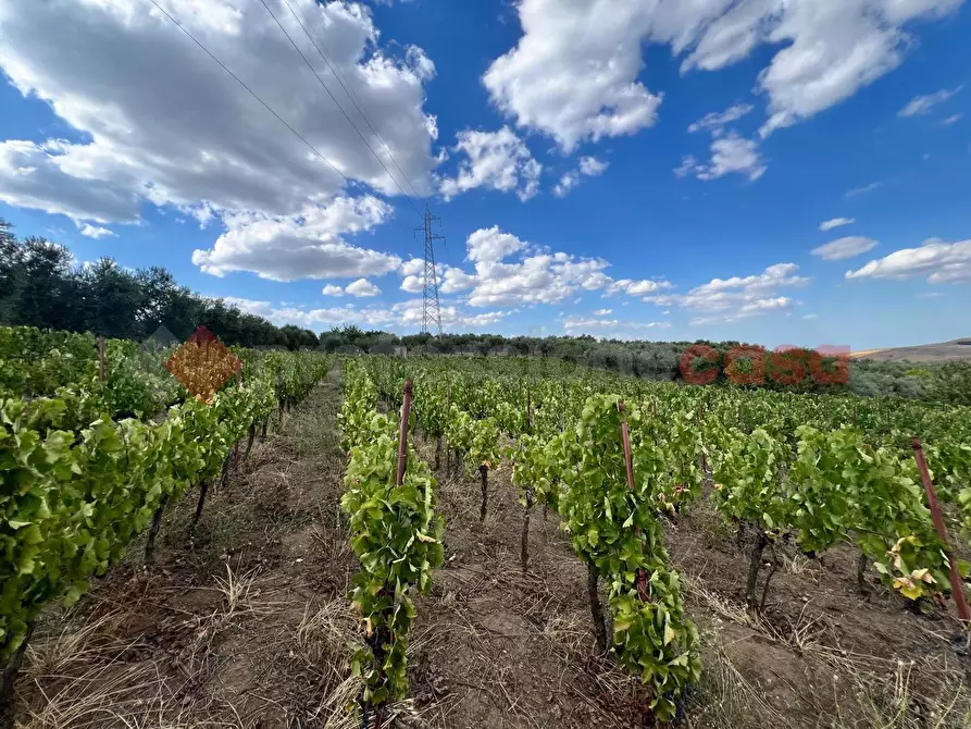 Immagine 17 di Terreno agricolo in vendita  in Contrada GORIZZE, SNC a Barile