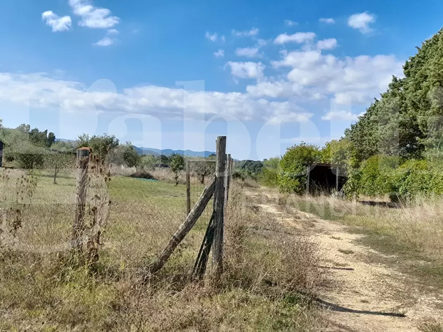 Immagine 4 di Terreno agricolo in vendita  in Via CASALE DELLE PIETRISCHE, 00 a Manziana