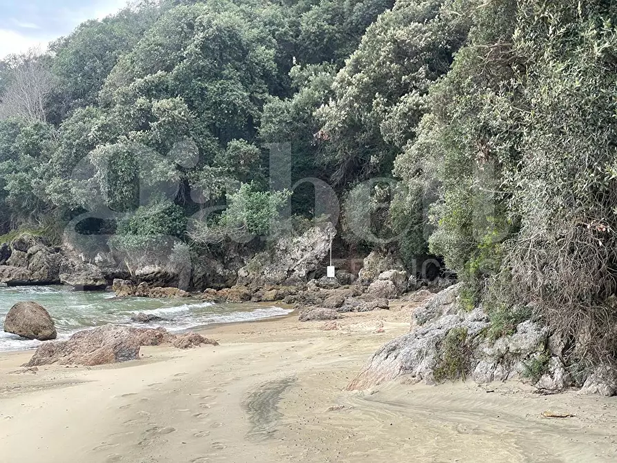Immagine 2 di Terreno agricolo in vendita  in Via Monte a mare, s.n.c. a Gaeta