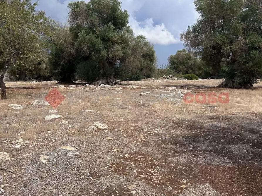 Immagine 19 di Baita in vendita  in Contrada Capece, 1 a Francavilla Fontana