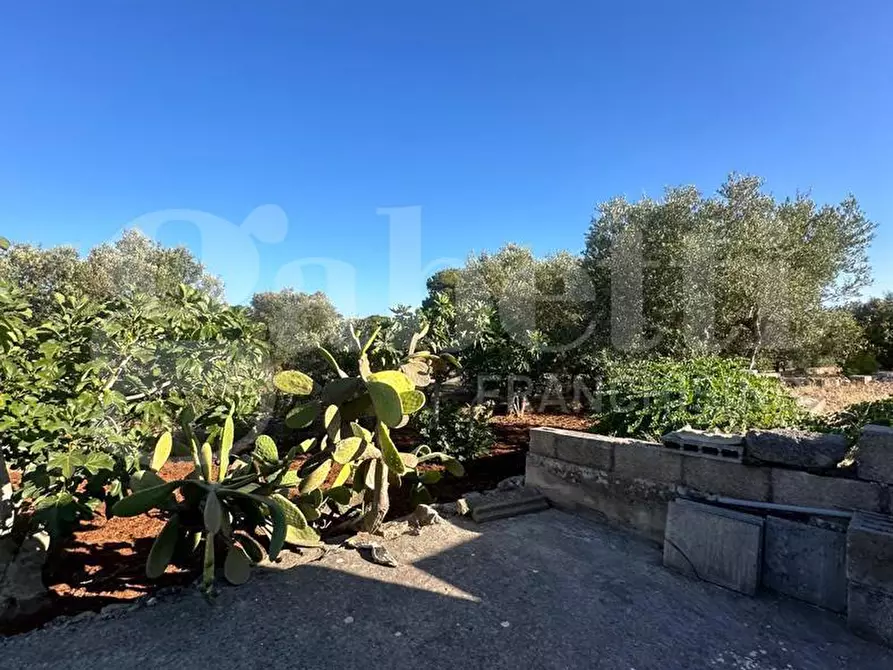 Immagine 2 di Terreno agricolo in vendita  in Contrada Salinola a Ostuni