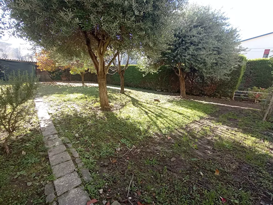 Immagine 30 di Appartamento in vendita  in Via Cavarzere, via Nazario Sauro, 00 a Cavarzere