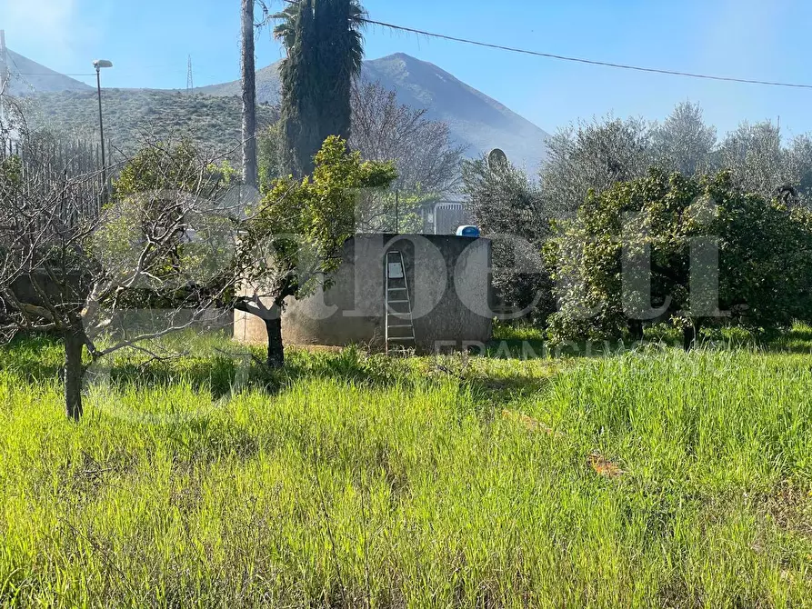 Immagine 12 di Terreno agricolo in vendita  in Via dell'agricoltura, s.n.c. a Gaeta