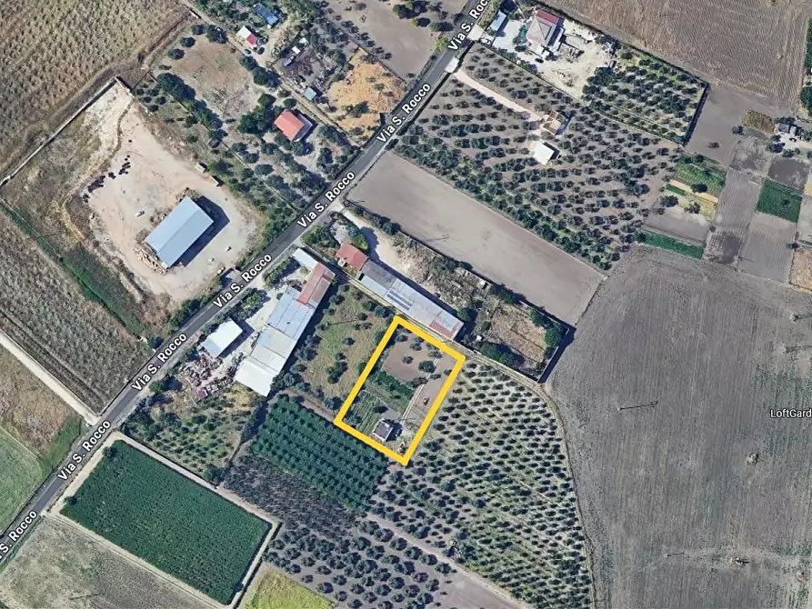 Immagine 12 di Terreno agricolo in vendita  in Via SAN ROCCO, SNC a San Severo