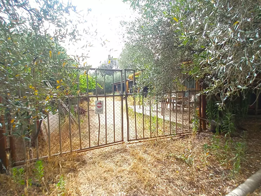 Immagine 1 di Terreno agricolo in vendita  in Via Pompeo Licinio, 100 a Roma