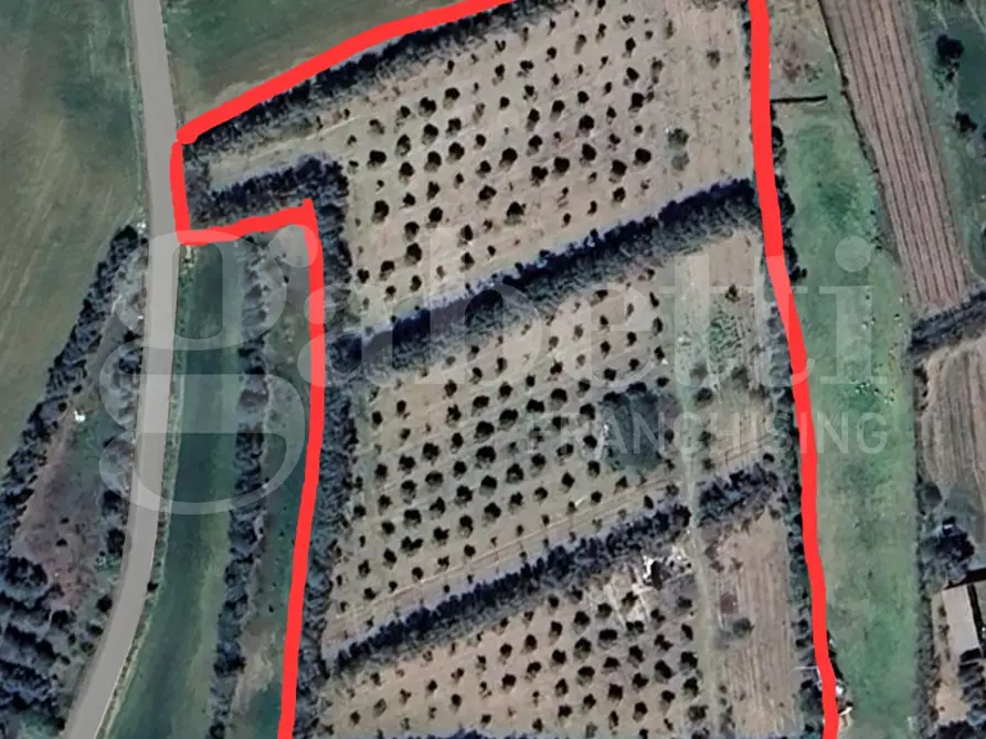 Immagine 13 di Terreno agricolo in vendita  in Via dessi, snc a Sestu