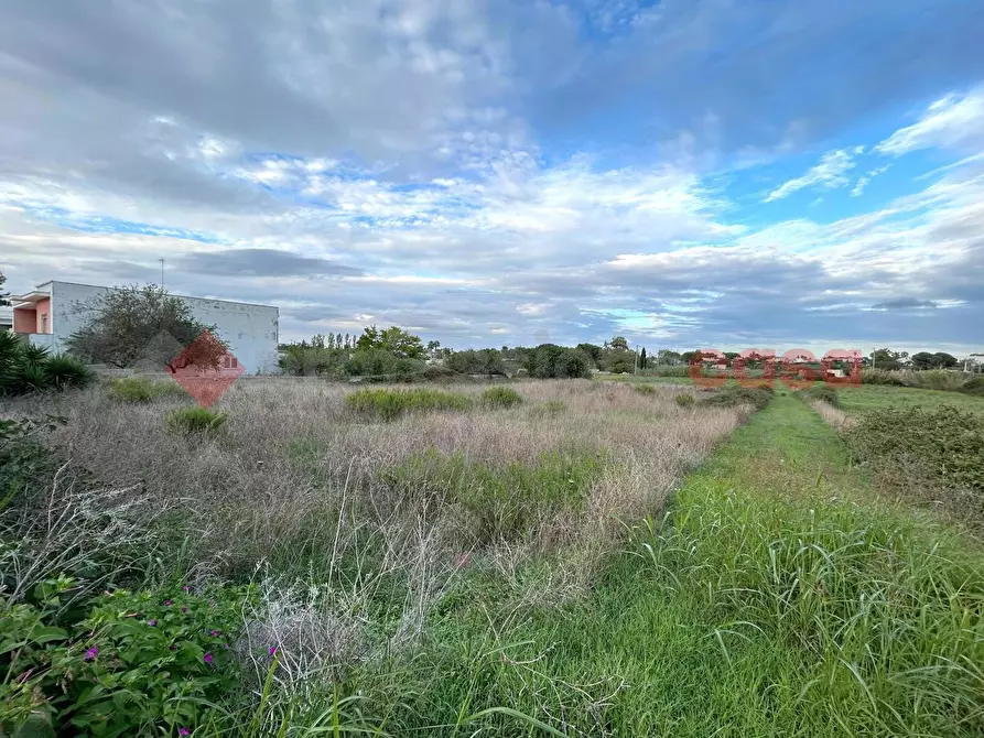 Immagine 3 di Terreno residenziale in vendita  in Via estramurale est a Specchia