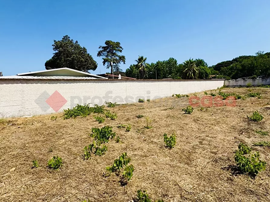 Immagine 33 di Terreno agricolo in vendita  in Via OASI DEL SISTO, 31 a Terracina