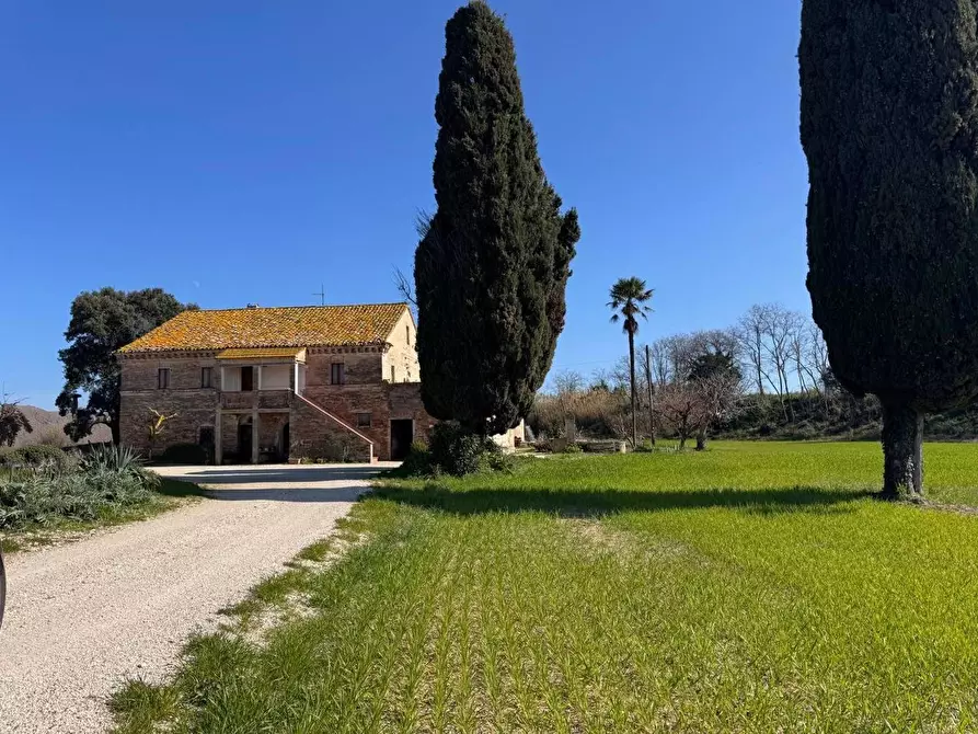 Immagine 9 di Rustico / casale in vendita  in Contrada Santa Maria in Potenza, 1 a Potenza Picena