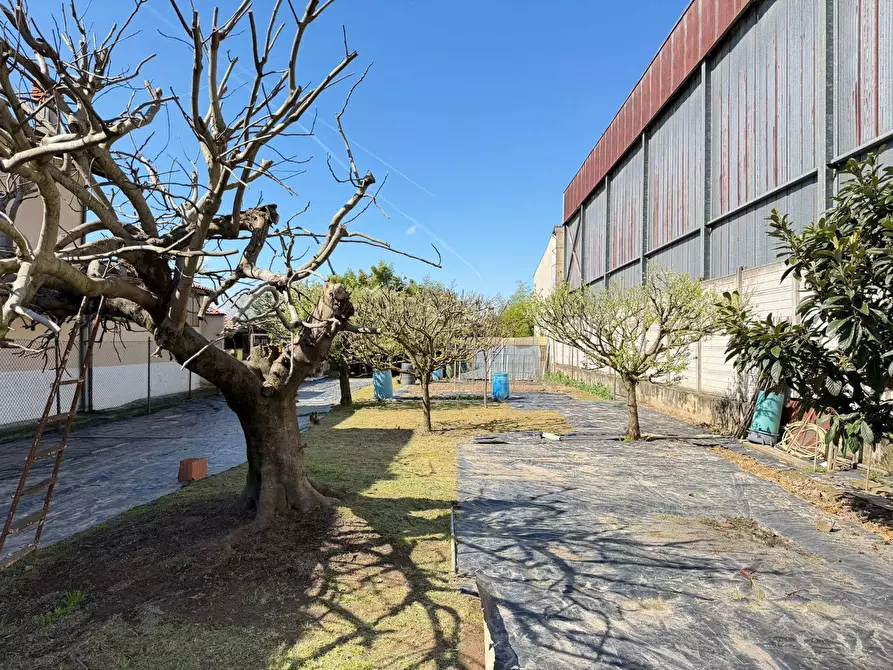 Immagine 9 di Terreno residenziale in vendita  in Via GUGLIERMO MARCONI, 104 a Miradolo Terme