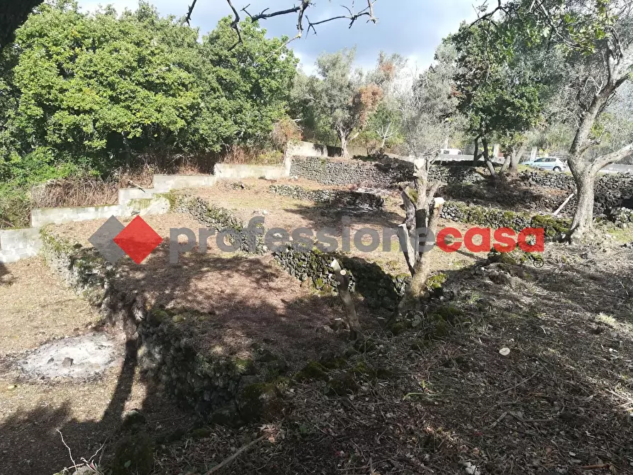 Immagine 13 di Terreno agricolo in vendita  in Contrada Scorsone, SNC a Belpasso