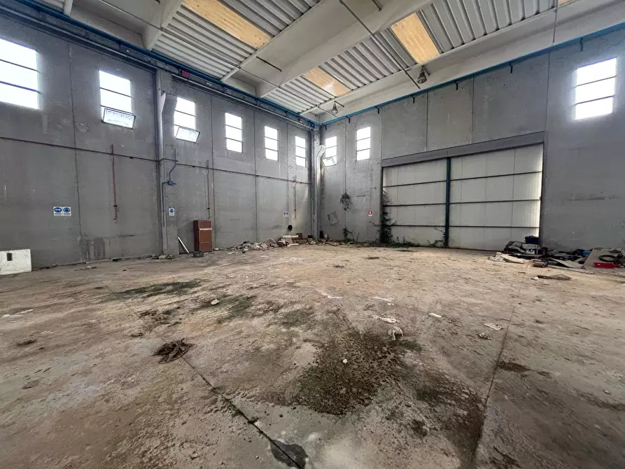 Immagine 4 di Capannone industriale in vendita  in Strada Provinciale 11 Morolense, snc a Patrica
