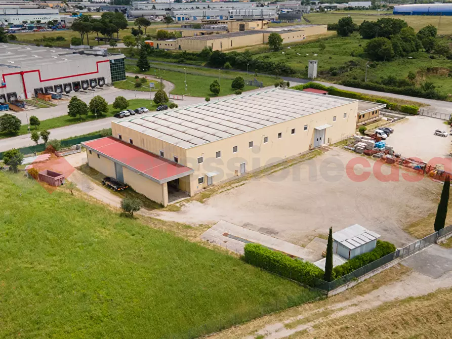 Immagine 3 di Capannone industriale in affitto  in Via Osteria della Fontana - LocalitÃ  Paduni, snc a Anagni