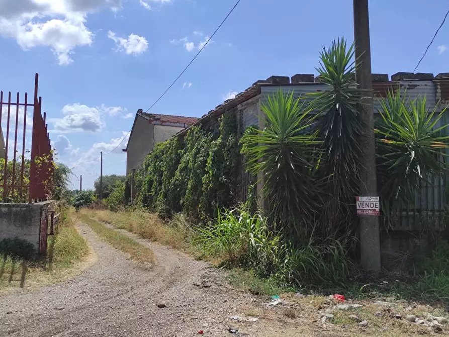 Immagine 2 di Terreno agricolo in vendita  in Via SAN ROCCO, SNC a San Severo