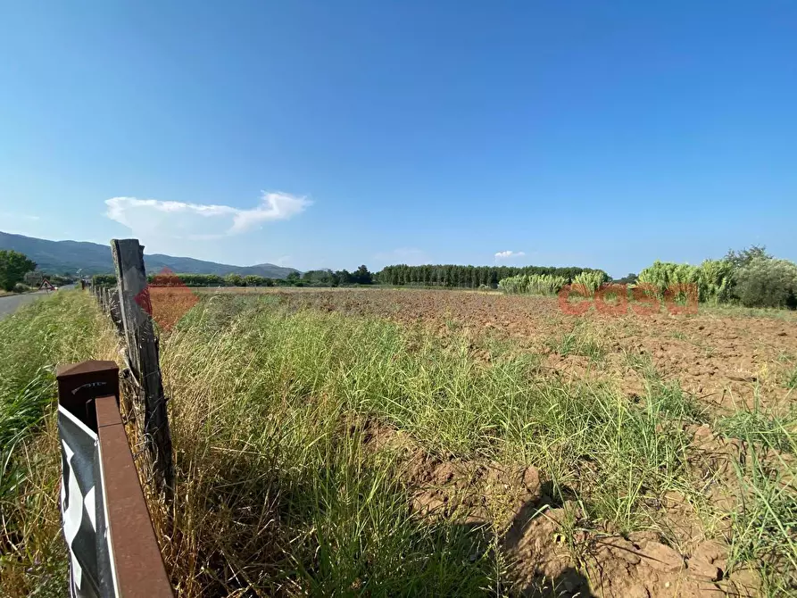 Immagine 31 di Terreno agricolo in vendita  in LocalitÃ  Starzella, SNC a Falciano Del Massico