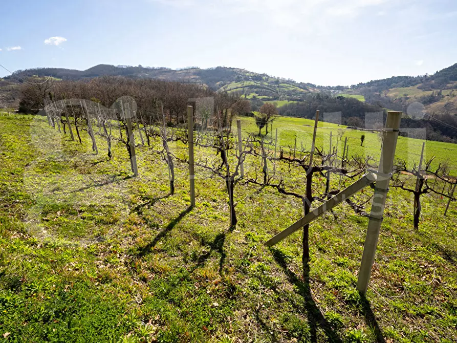 Immagine 40 di Rustico / casale in vendita  in Via DON GIULIO BARABANI, 1 a Assisi