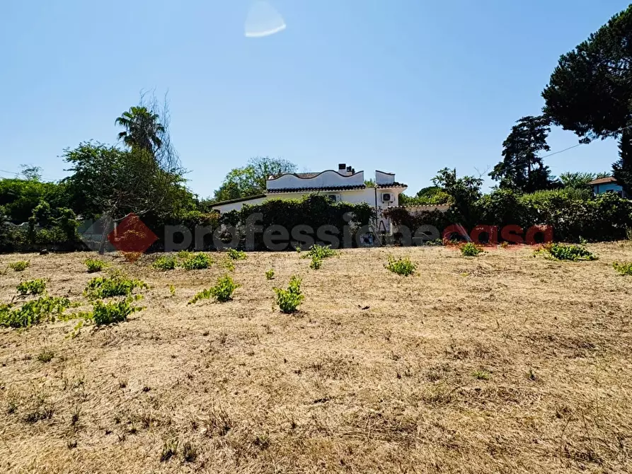 Immagine 16 di Terreno agricolo in vendita  in Via OASI DEL SISTO, 31 a Terracina