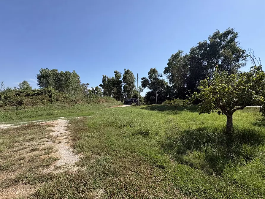 Immagine 25 di Appartamento in vendita  in Strada CAPO DEI BUFALI, 1 a Terracina