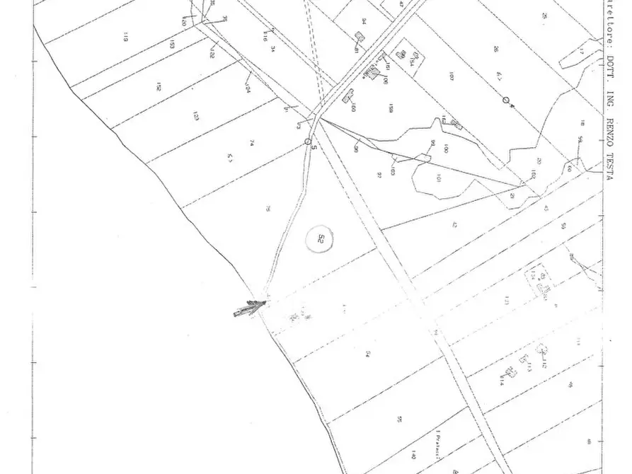 Immagine 10 di Terreno agricolo in vendita  in Via CASALE DELLE PIETRISCHE, 00 a Manziana