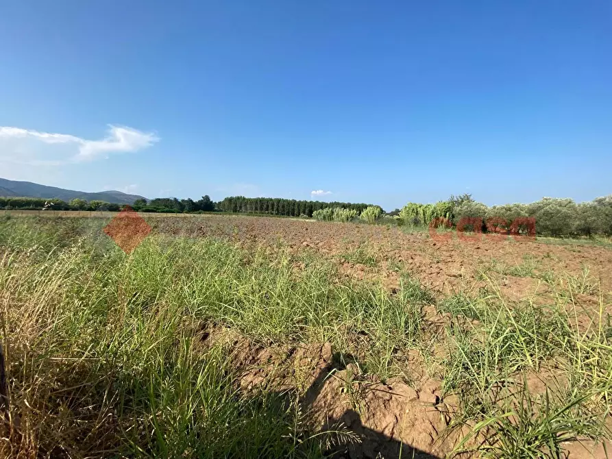 Immagine 30 di Terreno agricolo in vendita  in LocalitÃ  Starzella, SNC a Falciano Del Massico