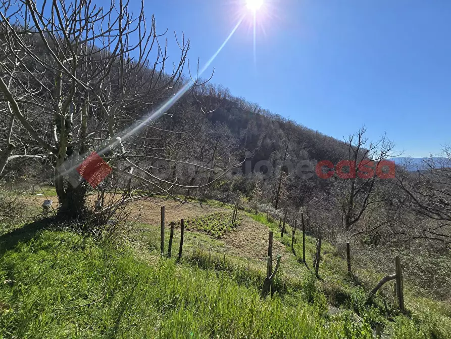 Immagine 5 di Terreno agricolo in vendita  in Via del Cerenaro, snc a Rieti