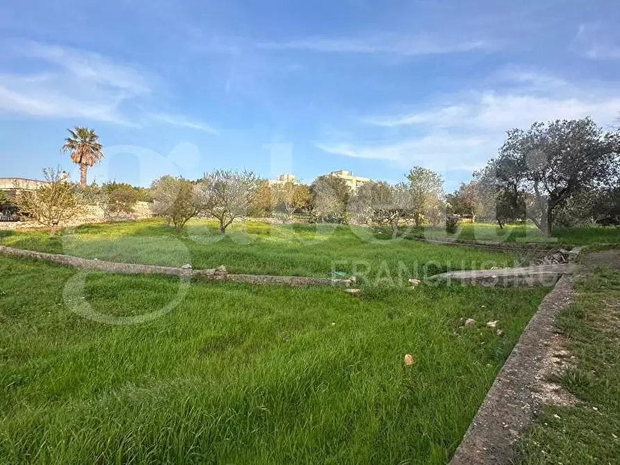Immagine 25 di Villa in vendita  in Contrada Fiorentino, sn a Ostuni