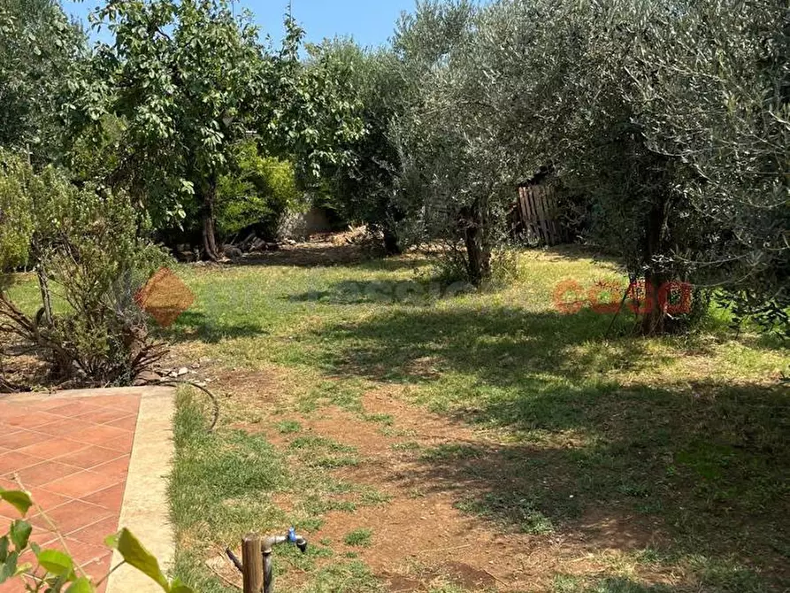 Immagine 38 di Casa bifamiliare in vendita  in Via Isole dei Ciclopi a Roma