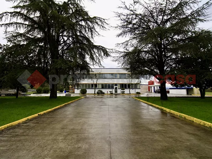 Immagine 26 di Capannone industriale in vendita  in Via Provinciale Morolense, 105 a Morolo