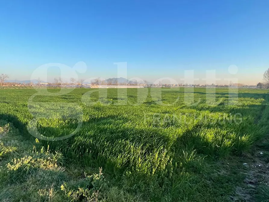 Immagine 2 di Terreno agricolo in vendita  in Via castello a Succivo