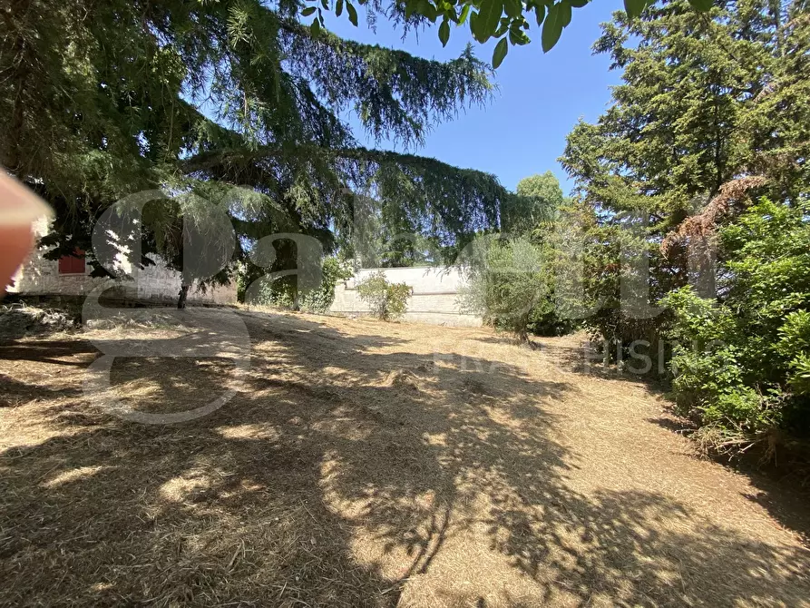 Immagine 24 di Villa in vendita  in Via S.P. 18, 76 a Cassano Delle Murge