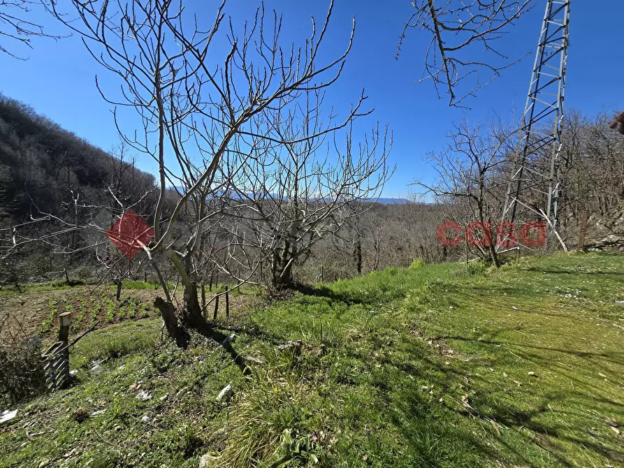 Immagine 8 di Terreno agricolo in vendita  in Via del Cerenaro, snc a Rieti