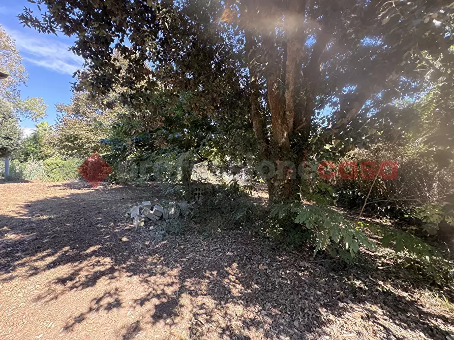 Immagine 18 di Casa indipendente in vendita  in Via SAN FELICE CIRCEO TRAVERSA DESTRA, 10 a Terracina