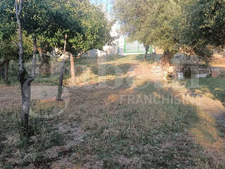 Immagine 13 di Terreno residenziale in vendita  in Via ROSSINI, SNC a Crispiano