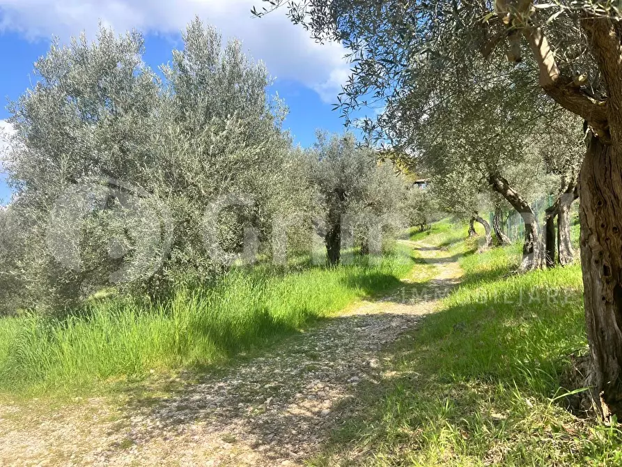 Immagine 1 di Terreno residenziale in vendita  in Via canova a Perugia
