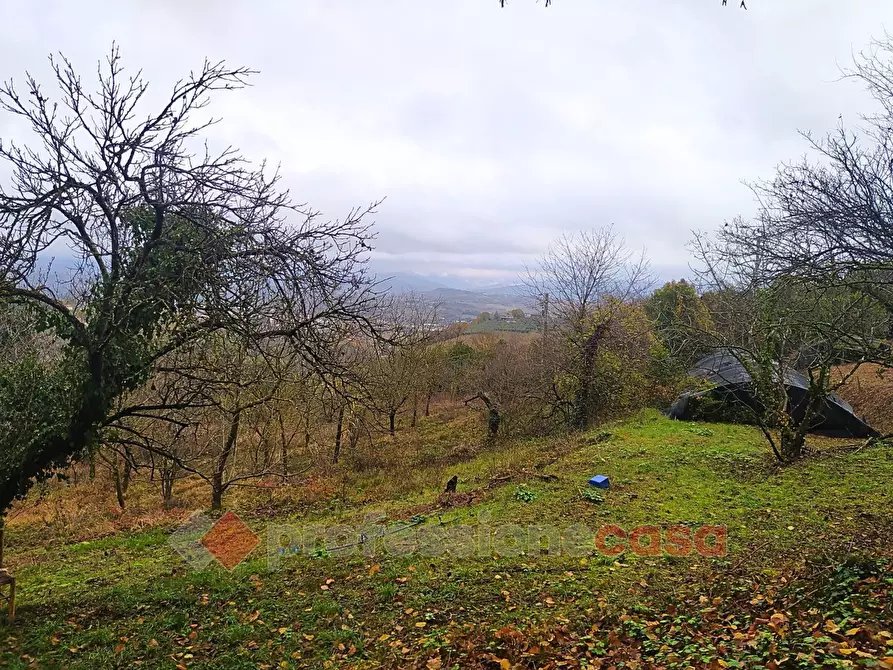 Immagine 8 di Terreno agricolo in vendita  in Via Monteluce Via Monterone a Perugia