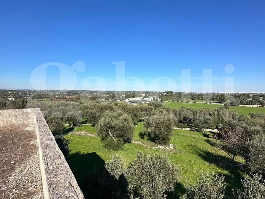 Immagine 15 di Villa in vendita  in Contrada Sessana Piccola, sn a Ostuni
